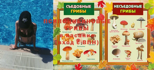метадон Осташков