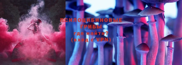 мяу мяу мука Переславль-Залесский