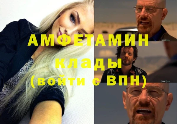 молекула духа Пестово