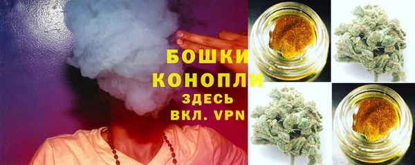 метадон Осташков