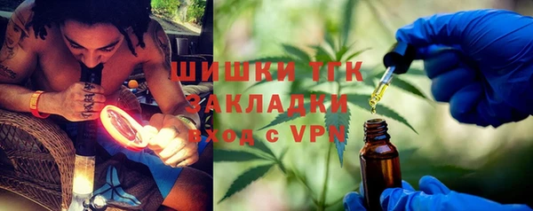 молекула духа Пестово
