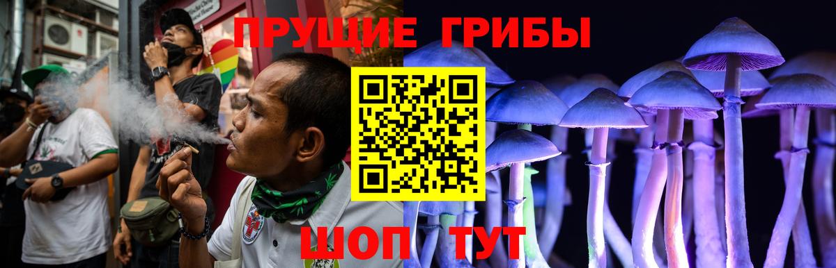Псилоцибиновые грибы Magic Shrooms  Галлюциногенные грибы прущие грибы  Вход с VPN  Уварово 