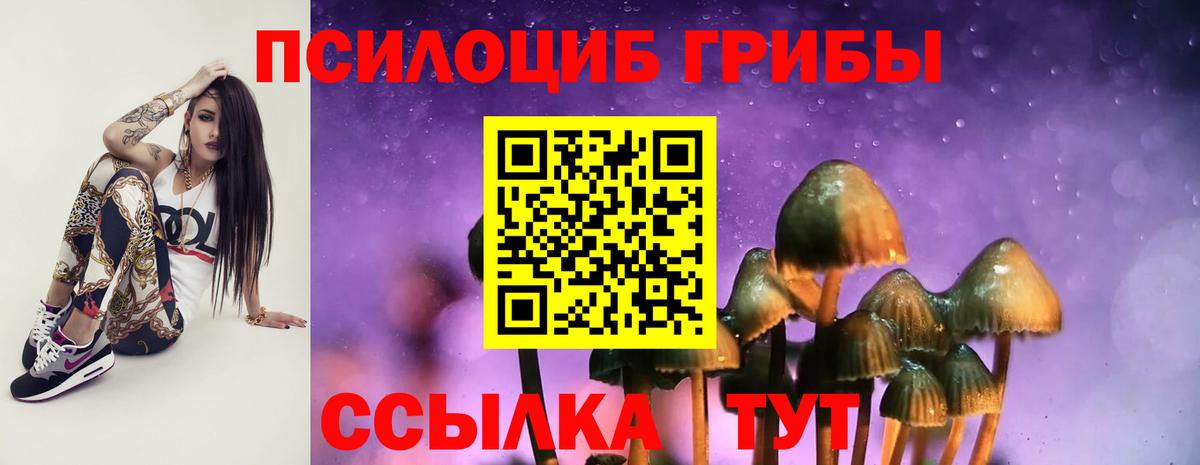 Галлюциногенные грибы прущие грибы Уварово